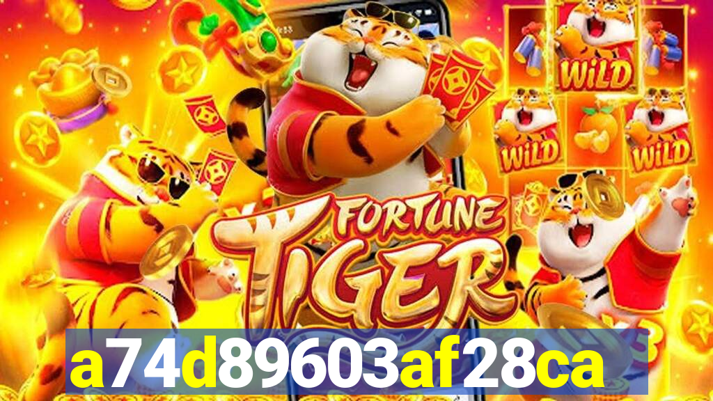 648 bet