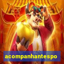 acompanhantesportovelho