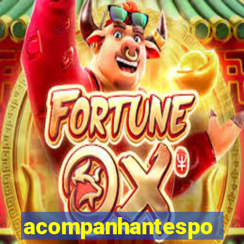 acompanhantesportovelho