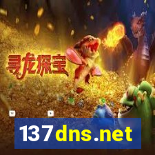 137dns.net