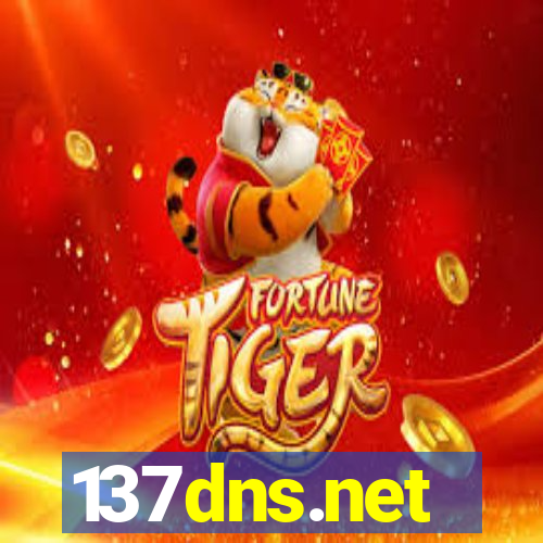 137dns.net