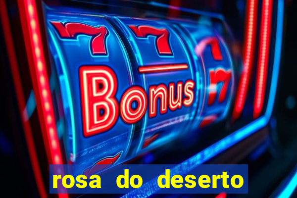 rosa do deserto lilac frost