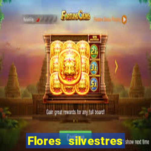 Flores silvestres brasileiras brasileiras flores silvestres nomes e imagens