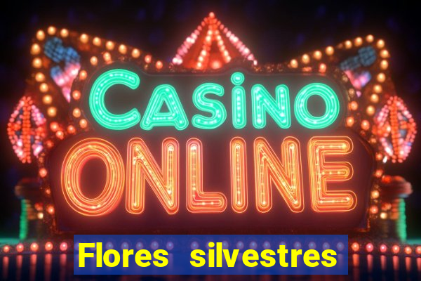 Flores silvestres brasileiras brasileiras flores silvestres nomes e imagens