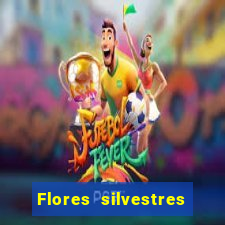 Flores silvestres brasileiras brasileiras flores silvestres nomes e imagens