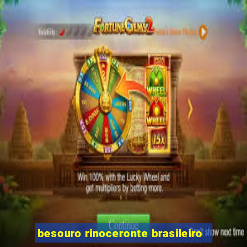 besouro rinoceronte brasileiro