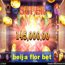 beija flor bet