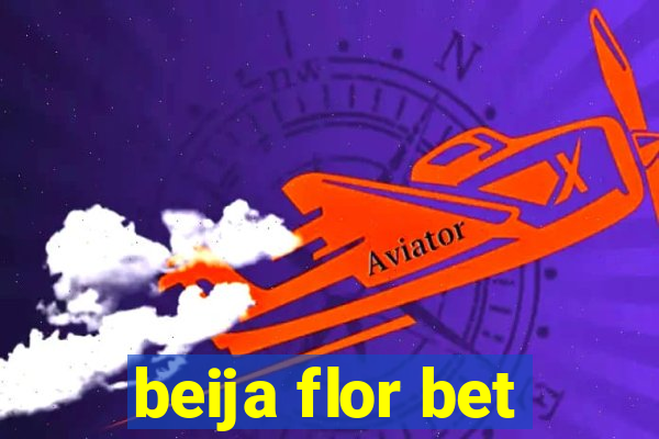 beija flor bet