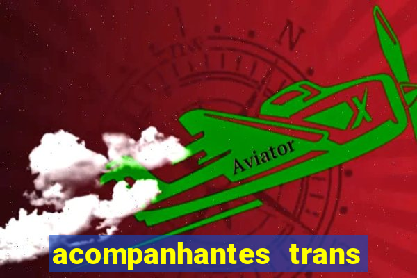 acompanhantes trans baixada fluminense