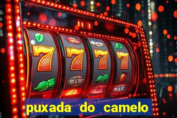 puxada do camelo no jogo do bicho