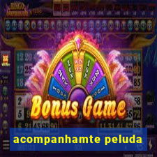 acompanhamte peluda