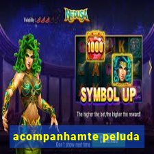 acompanhamte peluda