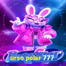 urso polar 777