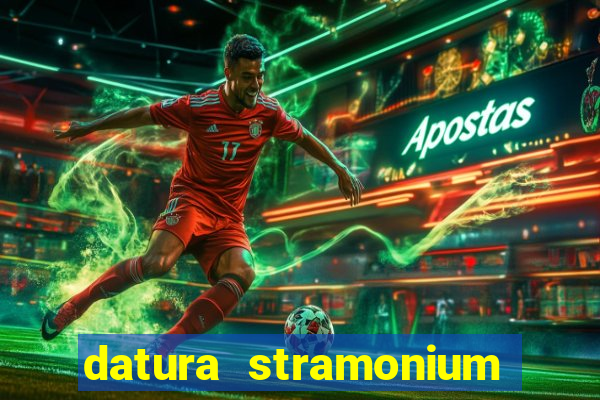 datura stramonium medicinal uses