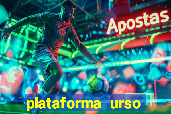 plataforma urso polar 777