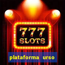 plataforma urso polar 777