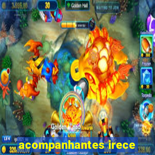 acompanhantes irece