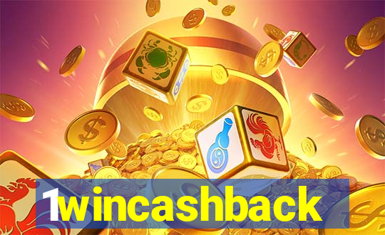 1wincashback