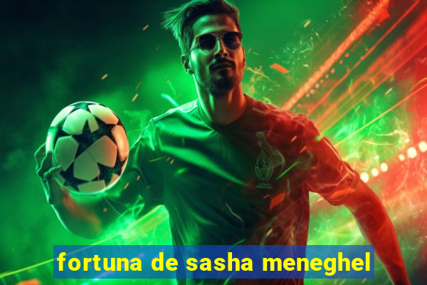 fortuna de sasha meneghel