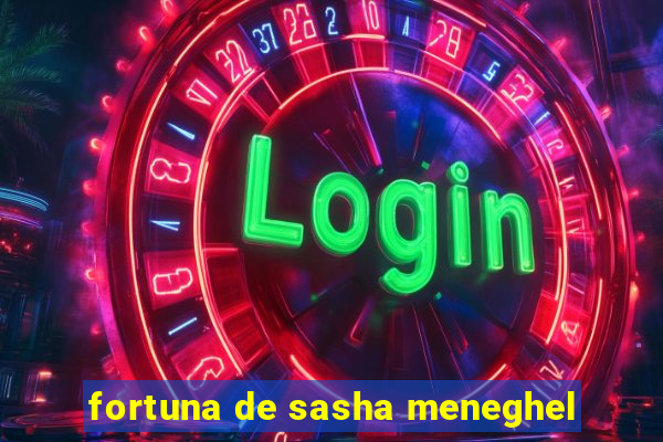 fortuna de sasha meneghel