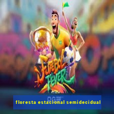 floresta estacional semidecidual