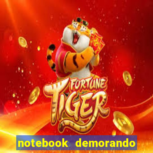 notebook demorando para ligar tela preta