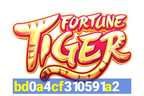 535bet com