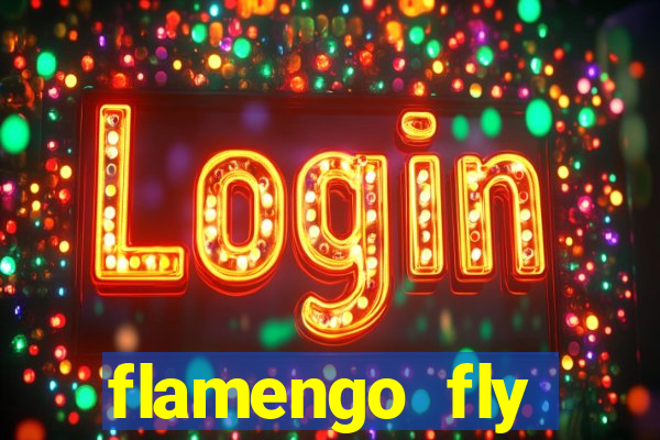 flamengo fly emirates ultimas noticias