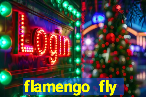 flamengo fly emirates ultimas noticias