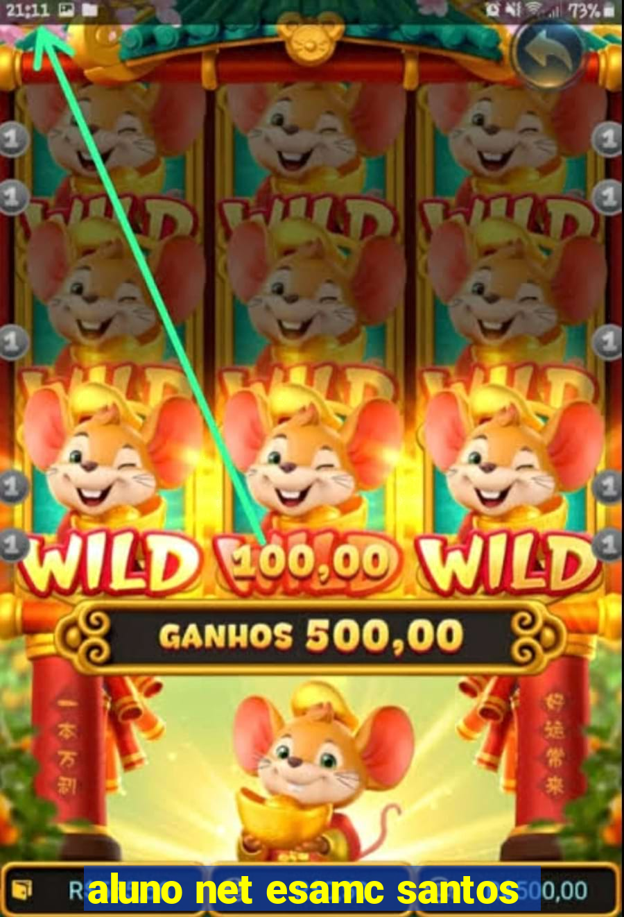 aluno net esamc santos