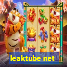leaktube net