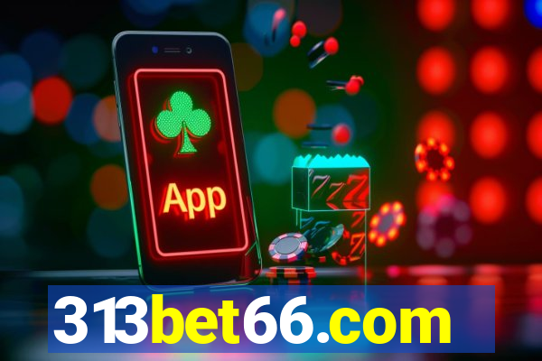 313bet66.com