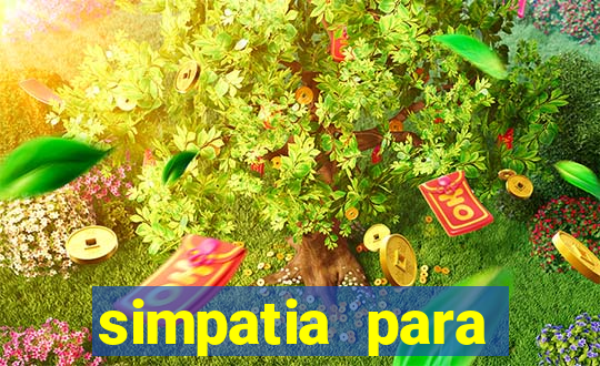 simpatia para ganhar no bingo de cartela