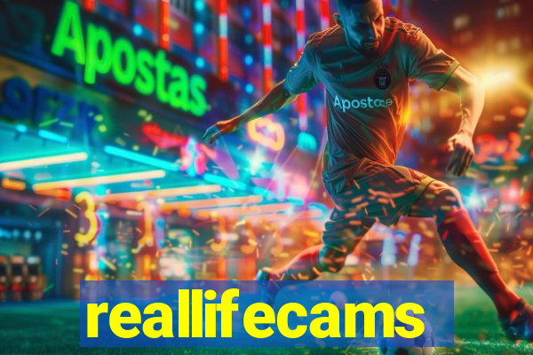 reallifecams