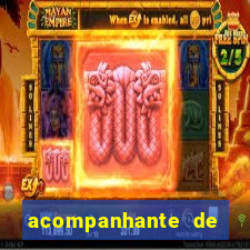 acompanhante de nova mutum