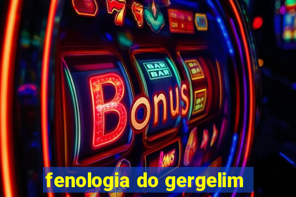 fenologia do gergelim