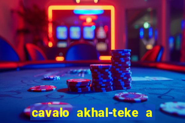 cavalo akhal-teke a venda no brasil cavalo akhal teke no