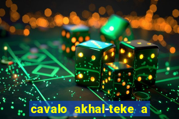 cavalo akhal-teke a venda no brasil cavalo akhal teke no
