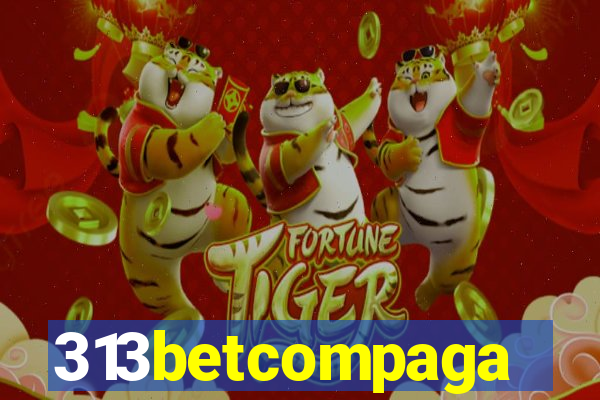 313betcompaga