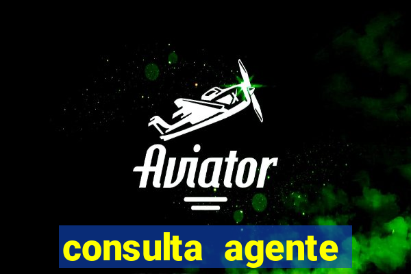 consulta agente autuador sp