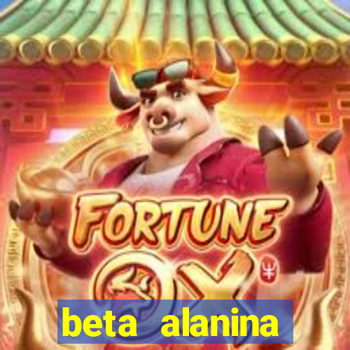 beta alanina aumenta a pressao