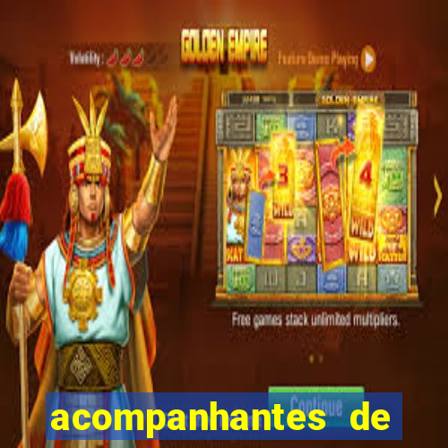 acompanhantes de luxo porto feliz