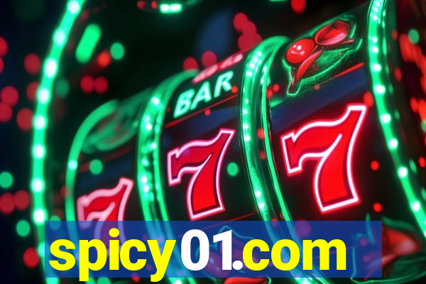 spicy01.com
