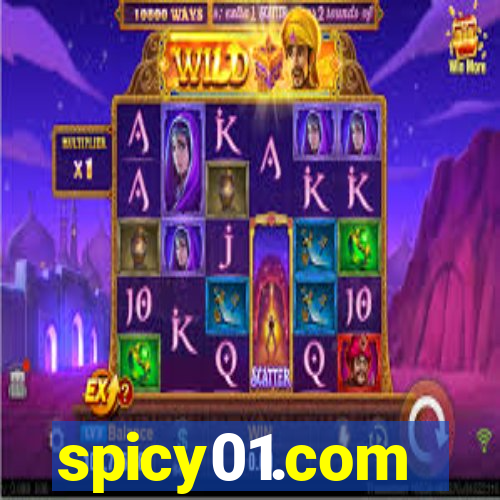 spicy01.com