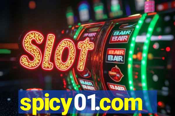 spicy01.com