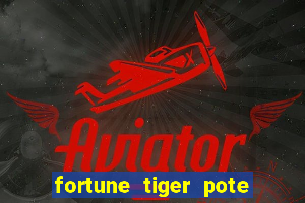 fortune tiger pote de ouro completo