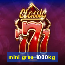 mini grua 1000kg