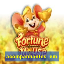 acompanhantes em barreiras bahia