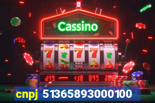 cnpj 51365893000100