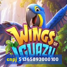 cnpj 51365893000100